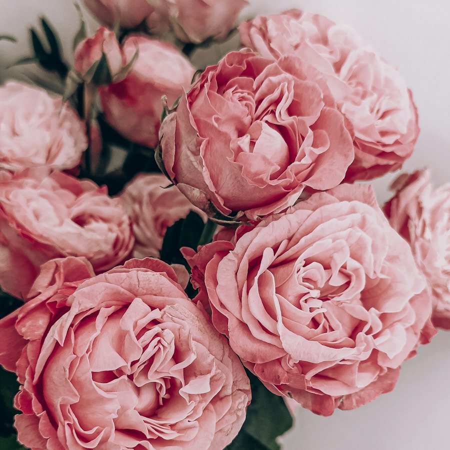 Bouquets