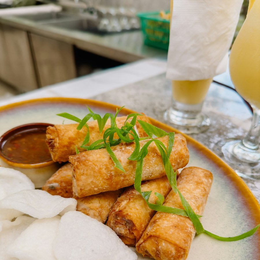 Chicken Vegetable Spring Rolls