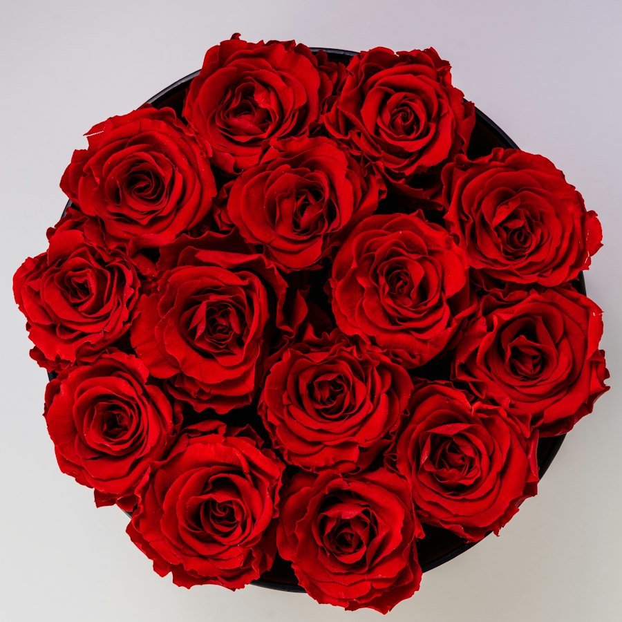 Red Rose Bouquet